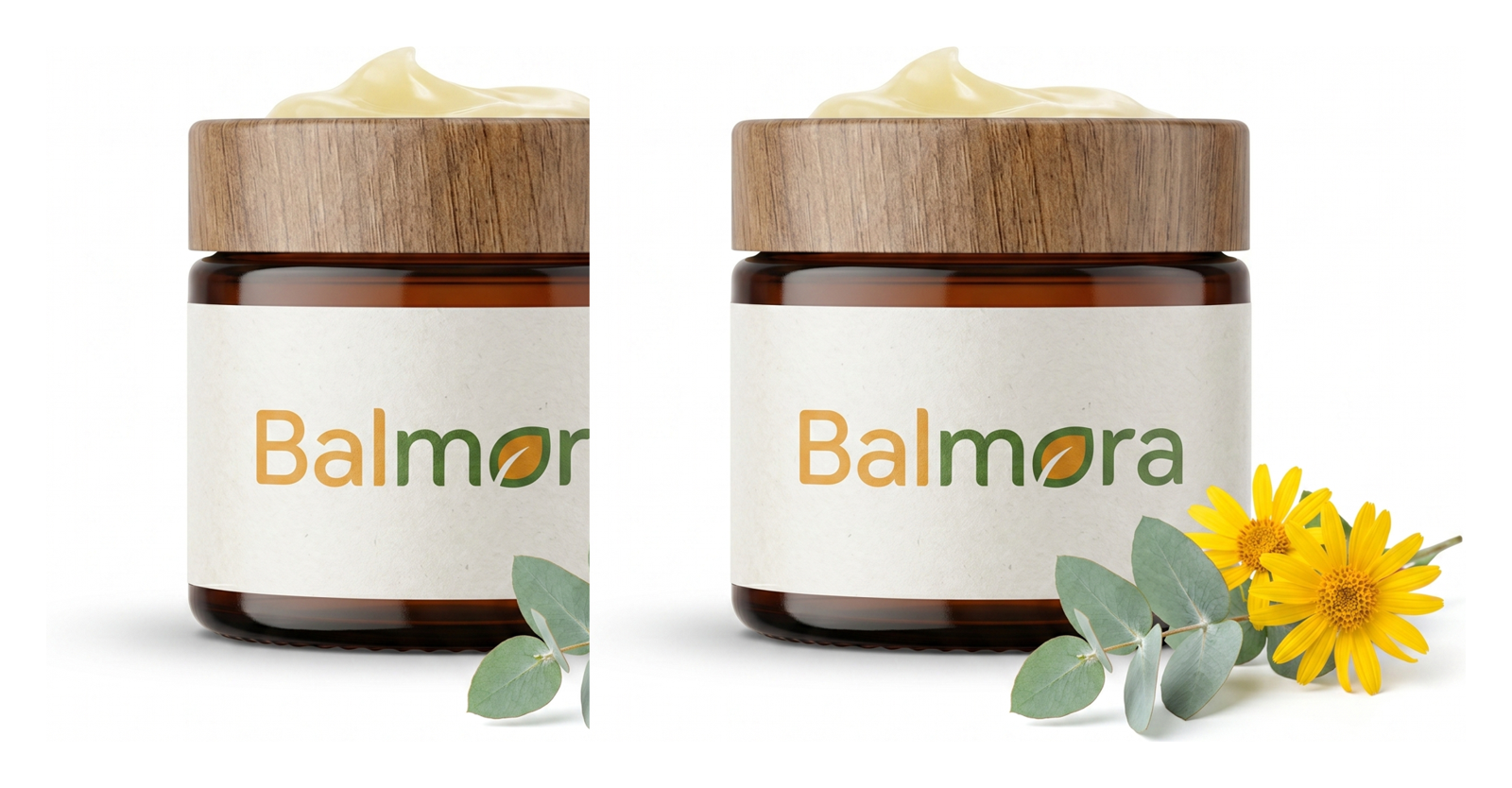 balmora bundle-2.png
